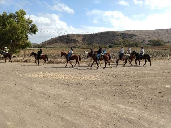 Horse Rides Rosarito Ocean Sports (12)