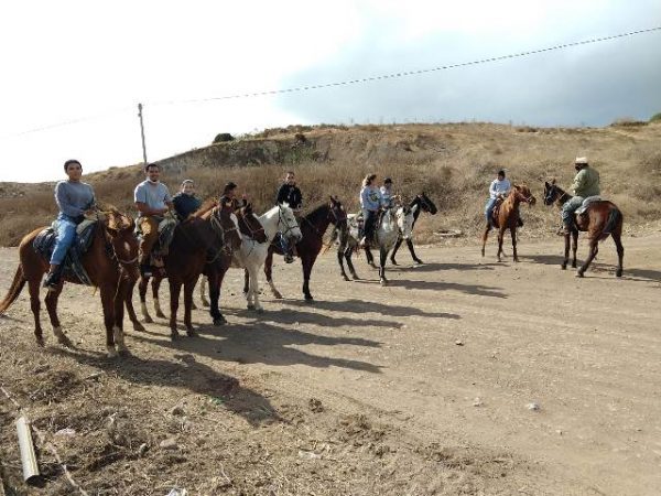 Horse Rides Rosarito Ocean Sports (6)